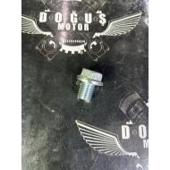 CG ALT YAĞ TAPASI 17 LİK