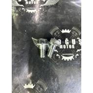 ÖN AMORTİSÖR VİDASI TK 