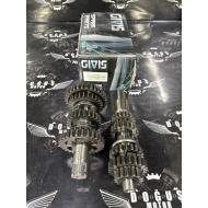 CG 200 İRİ DİŞ ŞANZUMAN GİVİS