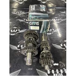 CG 200 İRİ DİŞ ŞANZUMAN GİVİS