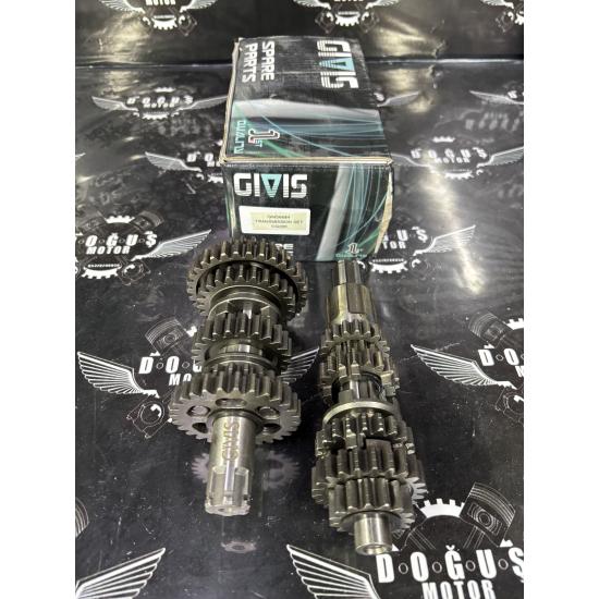 CG 200 İRİ DİŞ ŞANZUMAN GİVİS