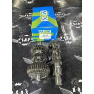 CG ŞANZUMAN MSK ÇİTA 12 DİŞ PERFORMANS  