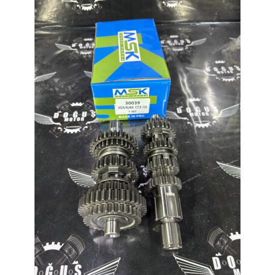 CG ŞANZUMAN MSK ÇİTA 12 DİŞ PERFORMANS  