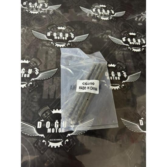 CG 250 SAPLAMA TAKIMI 