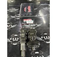 MSR 200 CG ŞANZUMAN