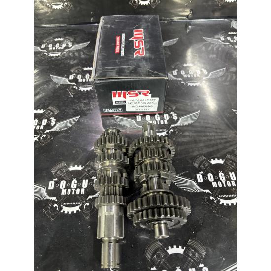 MSR 200 CG ŞANZUMAN